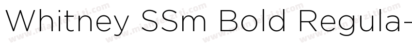 Whitney SSm Bold Regula字体转换